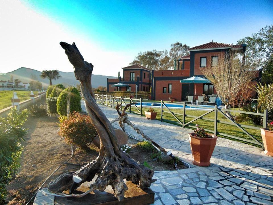 Kalloni Beach Villas Σκάλα Καλλονής Εξωτερικό φωτογραφία