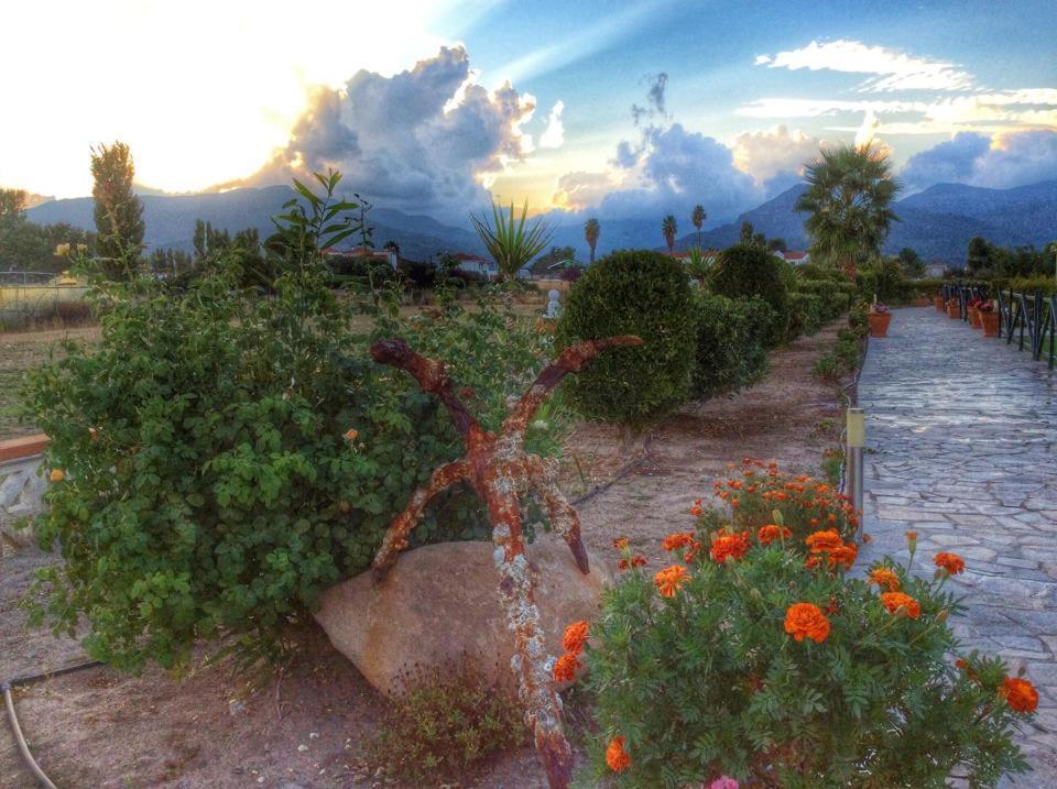 Kalloni Beach Villas Σκάλα Καλλονής Εξωτερικό φωτογραφία